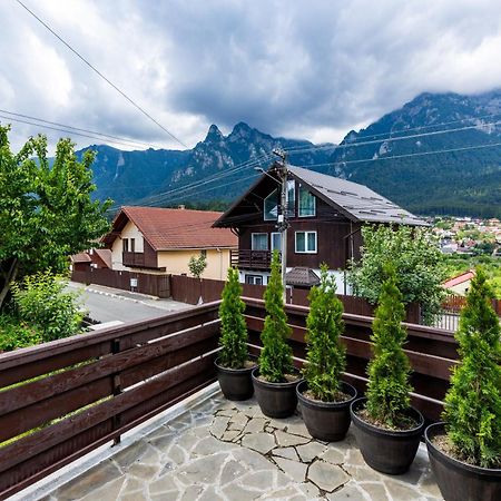 The Bear House Villa Busteni Exterior photo