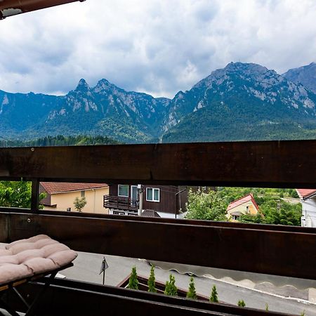 The Bear House Villa Busteni Exterior photo