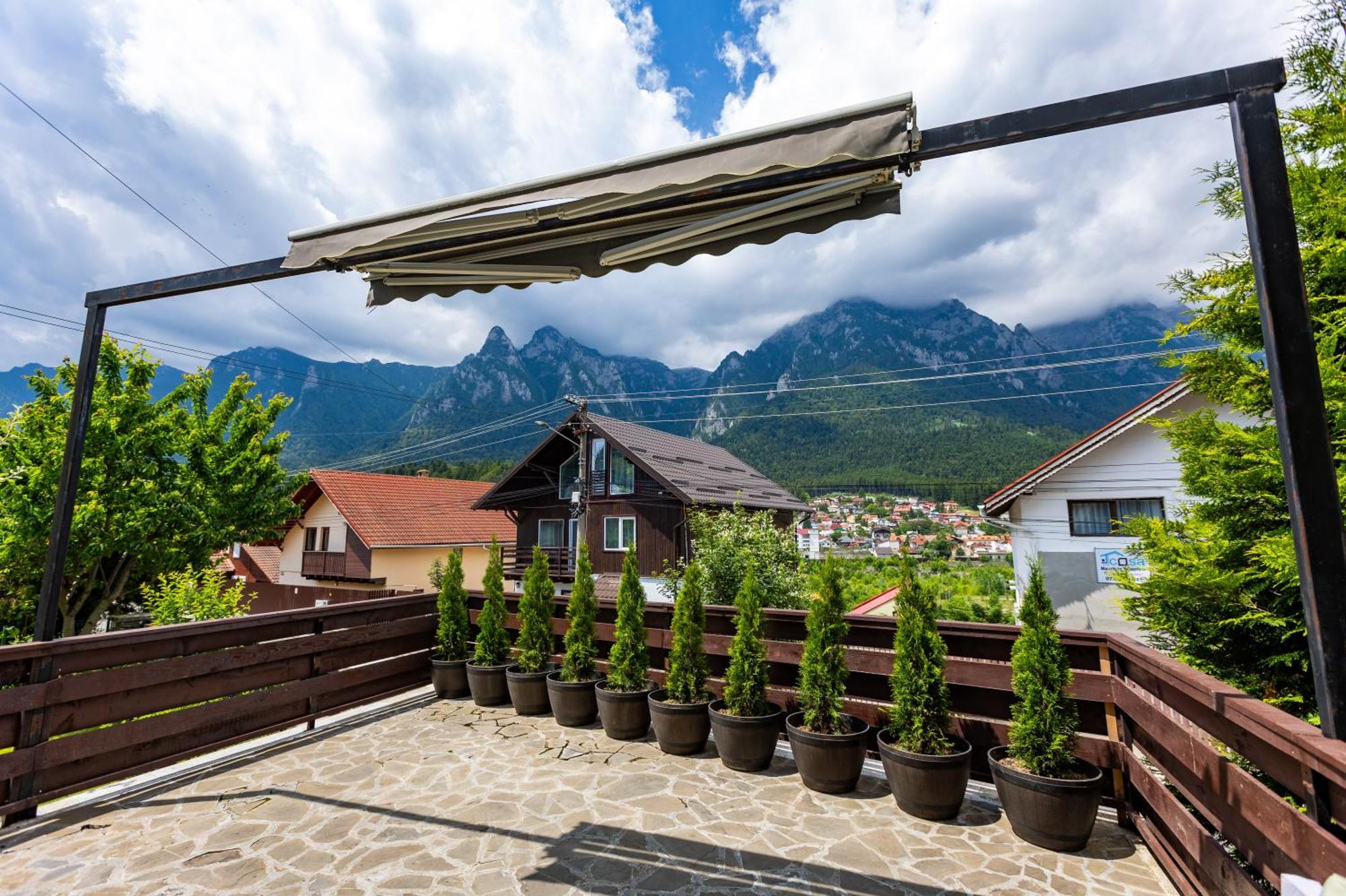 The Bear House Villa Busteni Exterior photo