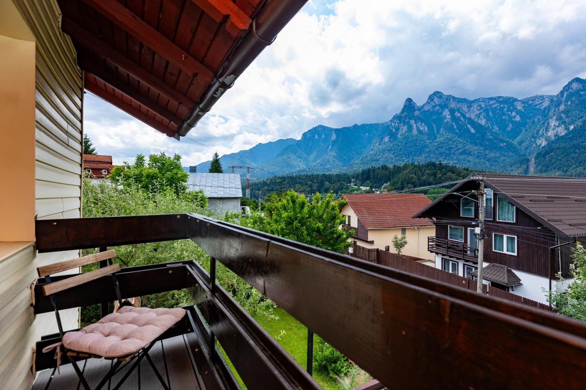 The Bear House Villa Busteni Exterior photo